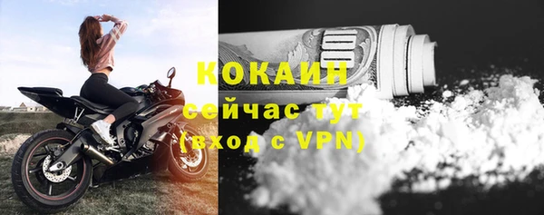 бошки Козельск