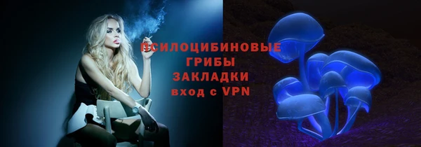 гашик Киреевск