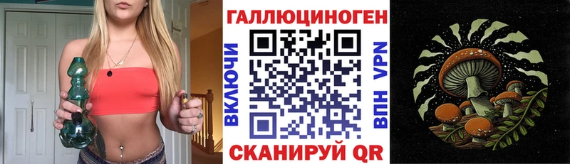 Купить закладки  Бодайбо  Псилоцибиновые грибы MAGIC MUSHROOMS 
